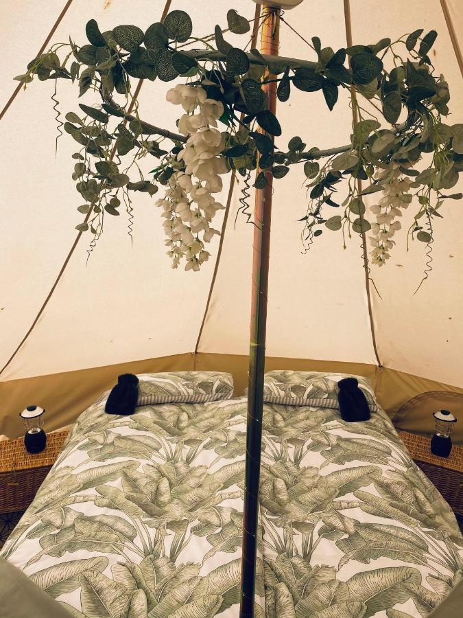 Duneden Belle Glamping Randalstown Buitenkant foto