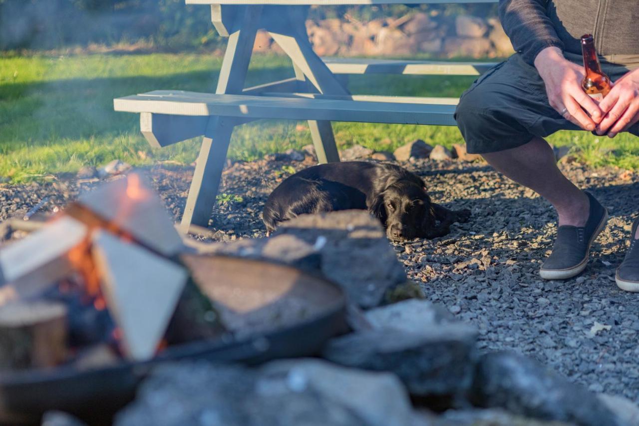 Duneden Belle Glamping Randalstown Buitenkant foto